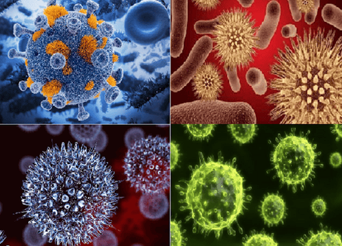 
Cơ thể nhiễm các loại virus có thể gây bệnh Degos
