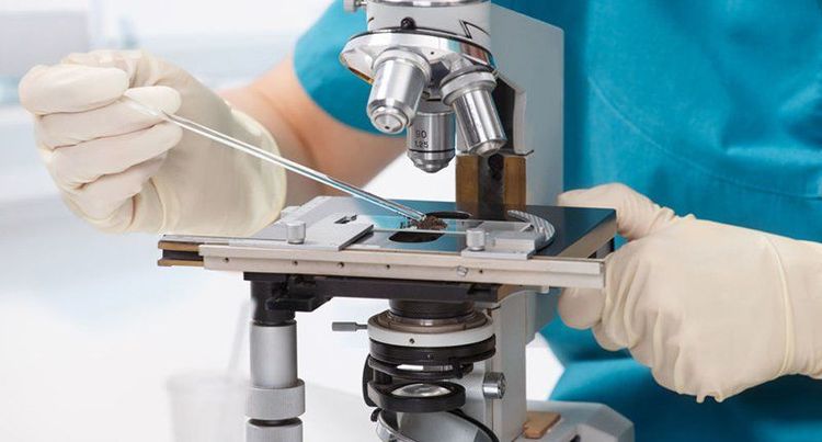 
Kính hiển vi có thể được sử dụng nhằm dự đoán ngày rụng trứng sau 24 đến 72 giờ
