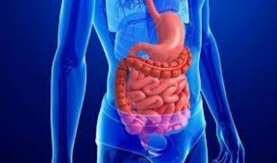 
Chất nhầy có thể xuất hiện ở đường tiêu hóa
