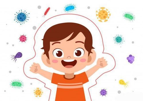 
Kẽm đóng nhiều vai trò khác nhau trong các đáp ứng miễn dịch
