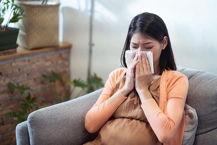 
Ai trong chúng ta cũng đều có nguy cơ mắc cảm cúm và tình trạng này dễ xuất hiện ở phụ nữ mang thai
