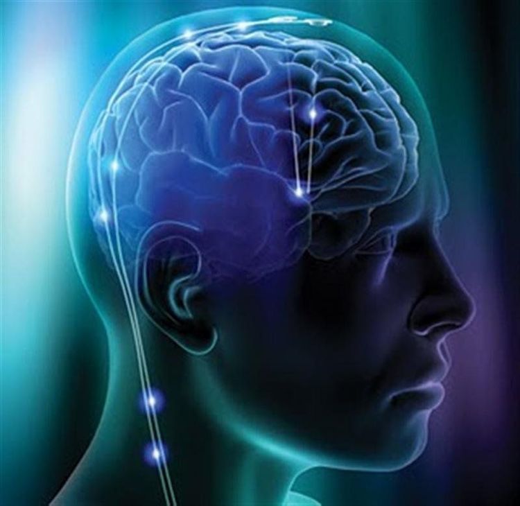 
Toàn bộ hoạt động của bộ não con người đều đang diễn ra hầu hết thời gian
