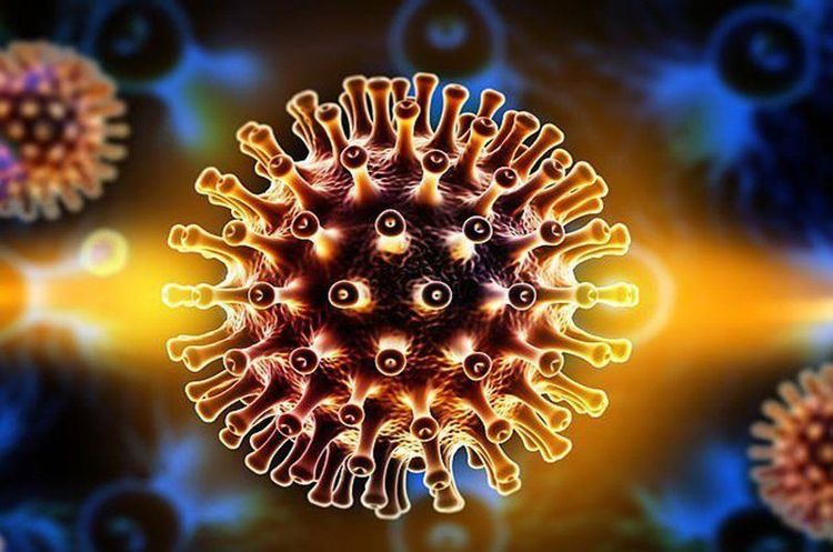 
NAT giúp phát hiện virus nhanh và chính xác hơn

