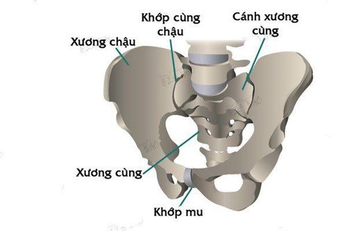 
Phẫu thuật thắt động mạch hạ vị giúp việc tổn thương mạch máu sẽ không xảy ra
