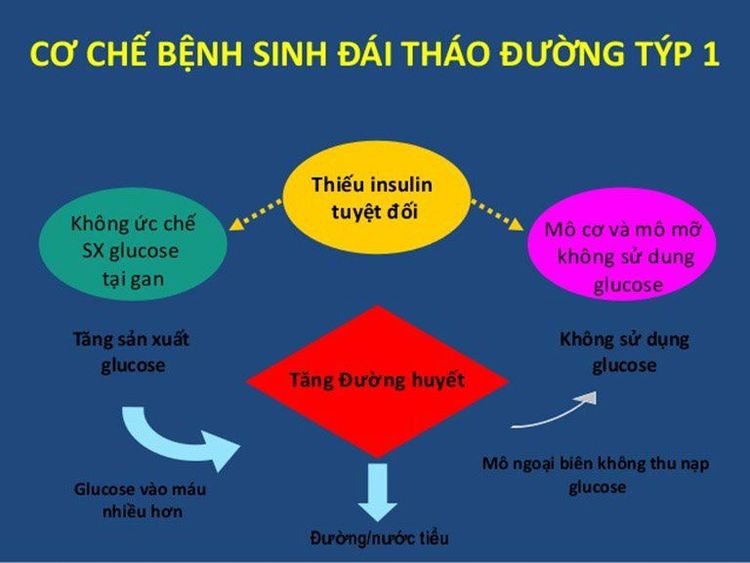 Hướng dẫn tự chăm sóc bệnh tiểu đường type 1