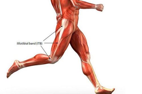 
Vị trí của dải chậu chày
